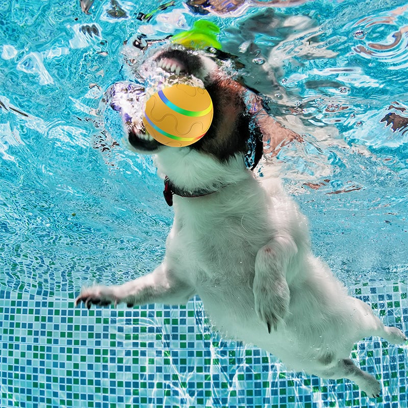 Interaktiivinen Koiran Lelu - Koirapallo