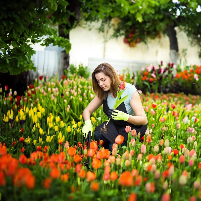 Puutarhan rikkaruohojen kitkemistyökalu