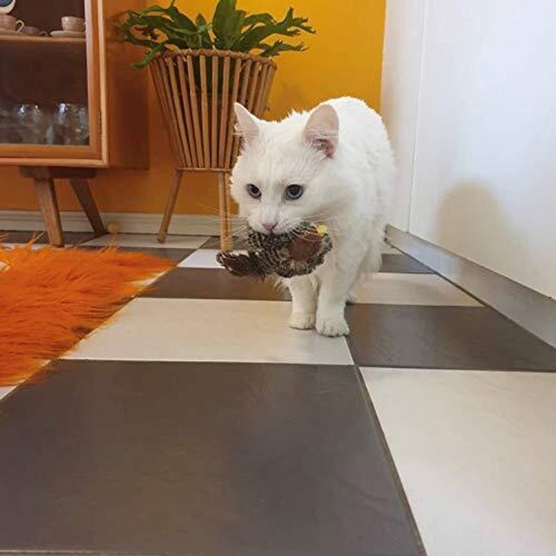 Simuloitu laulava lintu