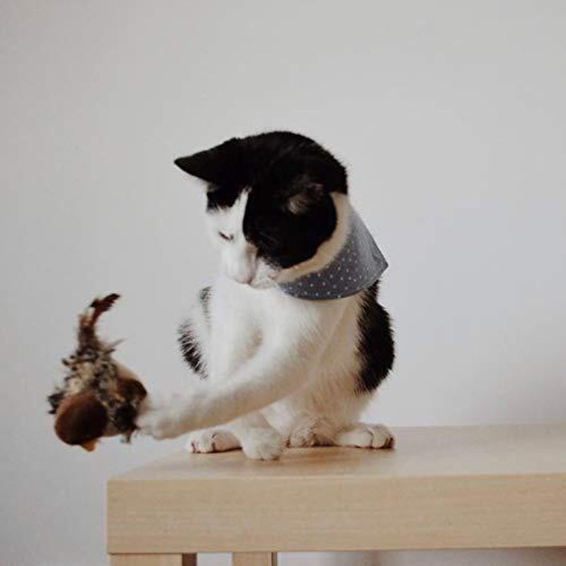 Simuloitu laulava lintu