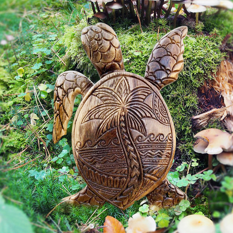 Kilpikonna Hartsikoriste