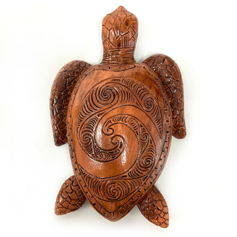 Kilpikonna Hartsikoriste