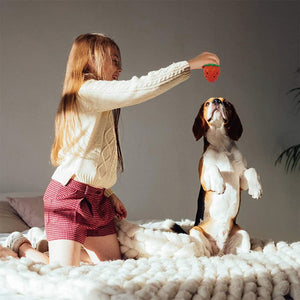 Mansikka purulelu koirille