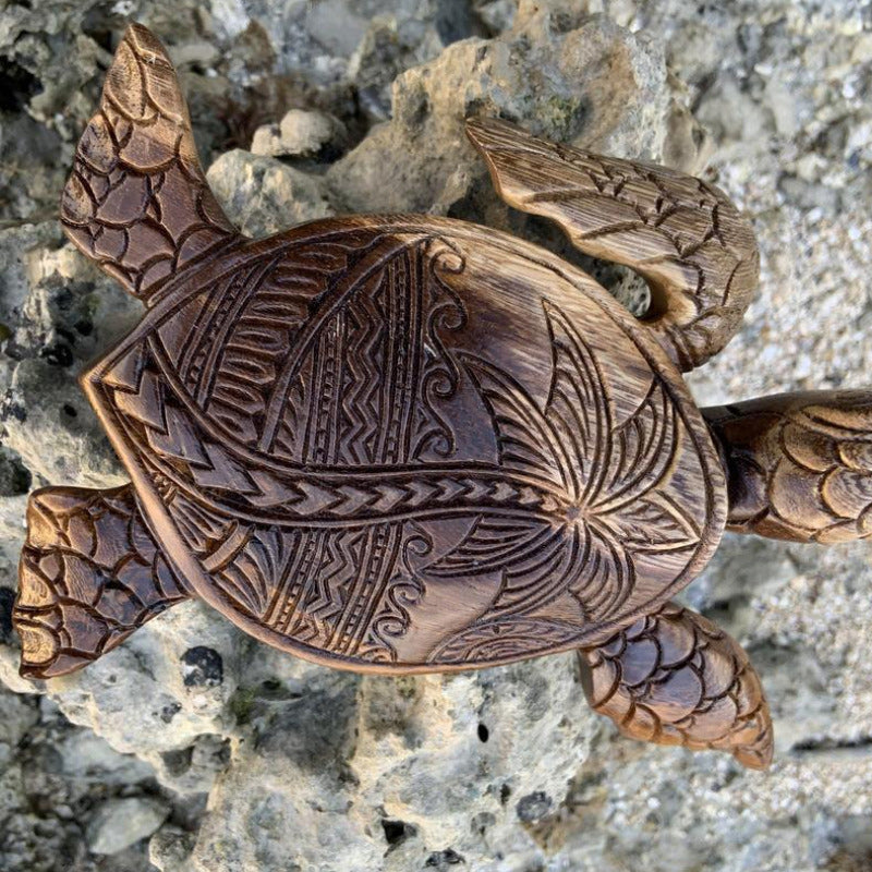 Kilpikonna Hartsikoriste