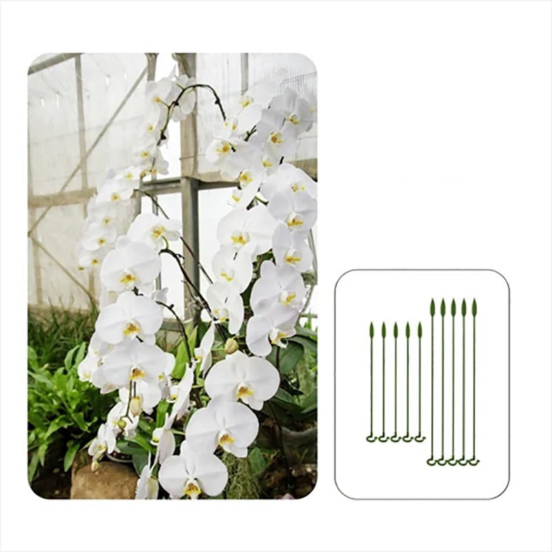 Kasvien tukipaalu tukirenkaalla (10kpl)(Osta 2, -15%; Osta 3, -20%; Osta 4, -25%)