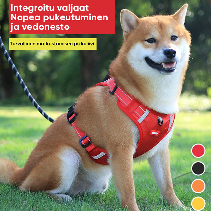 Heijastava Koiran Rintahihna