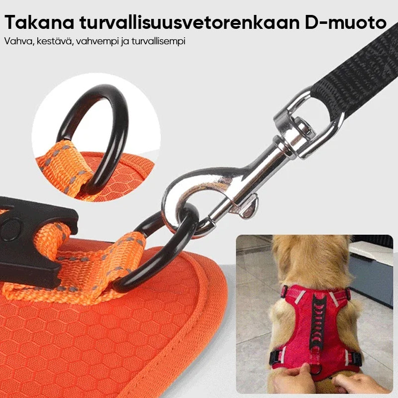 Heijastava Koiran Rintahihna