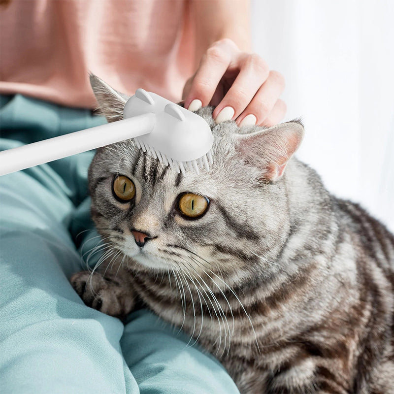 Pitkäkahvainen hierontaharja kissoille