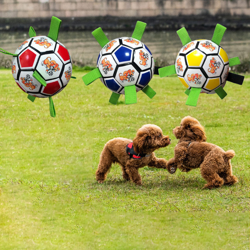 Koiran jalkapallolelu