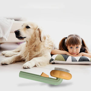 Lemmikkieläinten harja ”Kurpitsa”