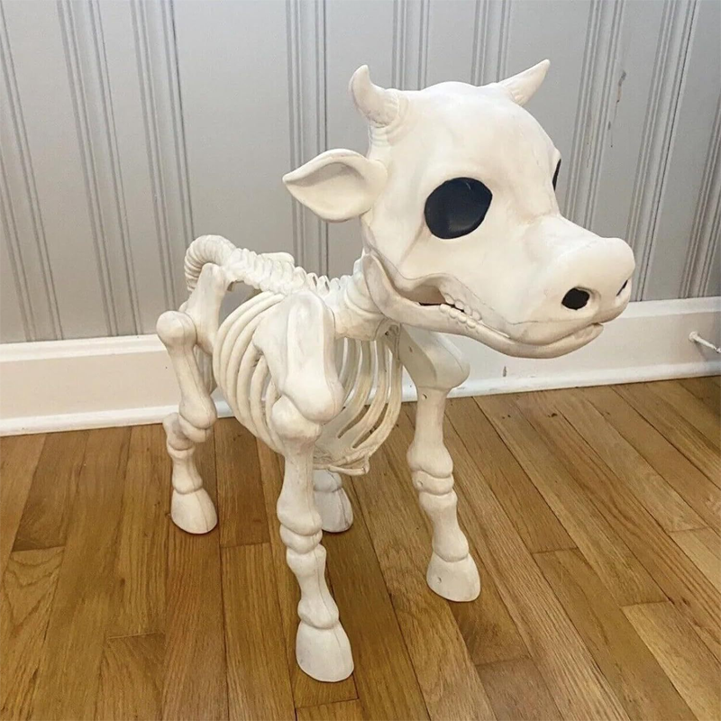 Lehmän luuranko Halloween-koriste