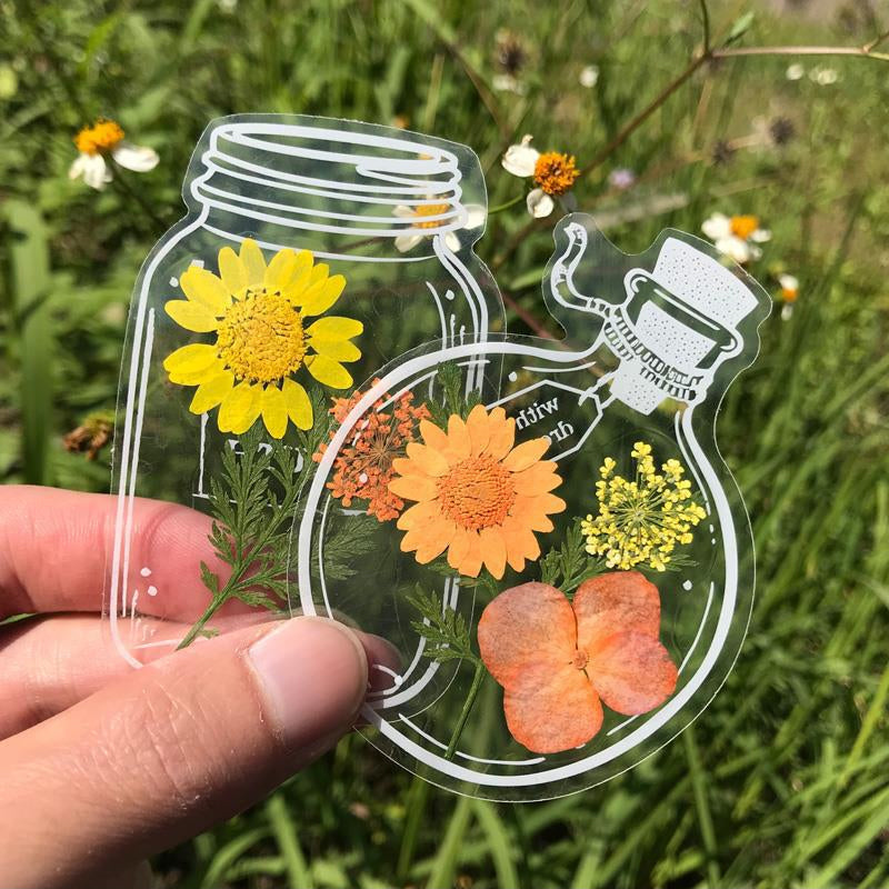 Läpinäkyvät kirjanmerkit DIY kuivatuilla kukilla (30kpl/setti)