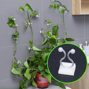 Plant Climbing Wall Clip