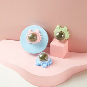 Kissanminttu seinäpallo syötävät kissanlelut