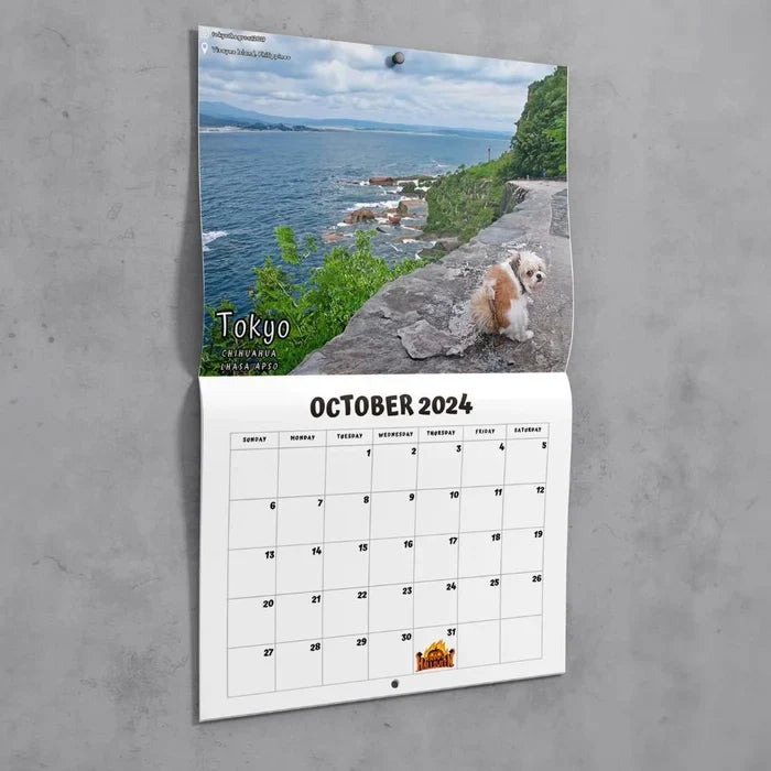 😆Vuosisadan hauskin kalenteri |  Hulvaton koirakalenteri