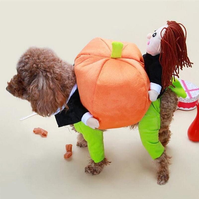 Pet Dog Pumpkin Halloween Costume
