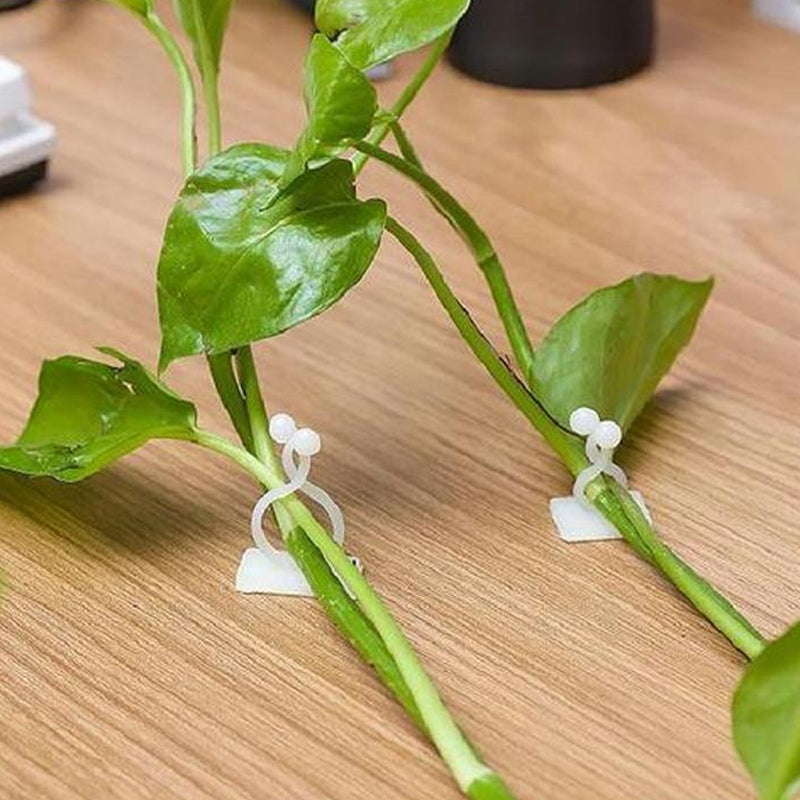 Plant Climbing Wall Clip