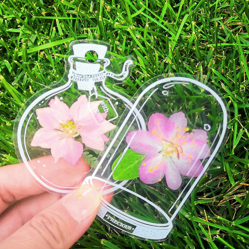 Läpinäkyvät kirjanmerkit DIY kuivatuilla kukilla (30kpl/setti)