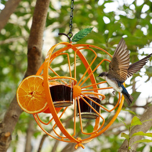 Ainutlaatuinen appelsiininmuotoinen linnunruokkija