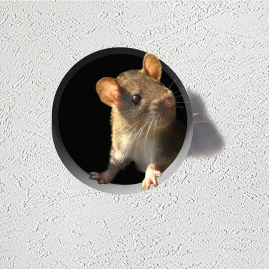 3D-hiirenkolo seinätarrat