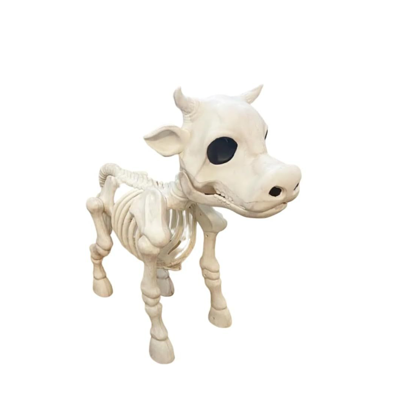 Lehmän luuranko Halloween-koriste